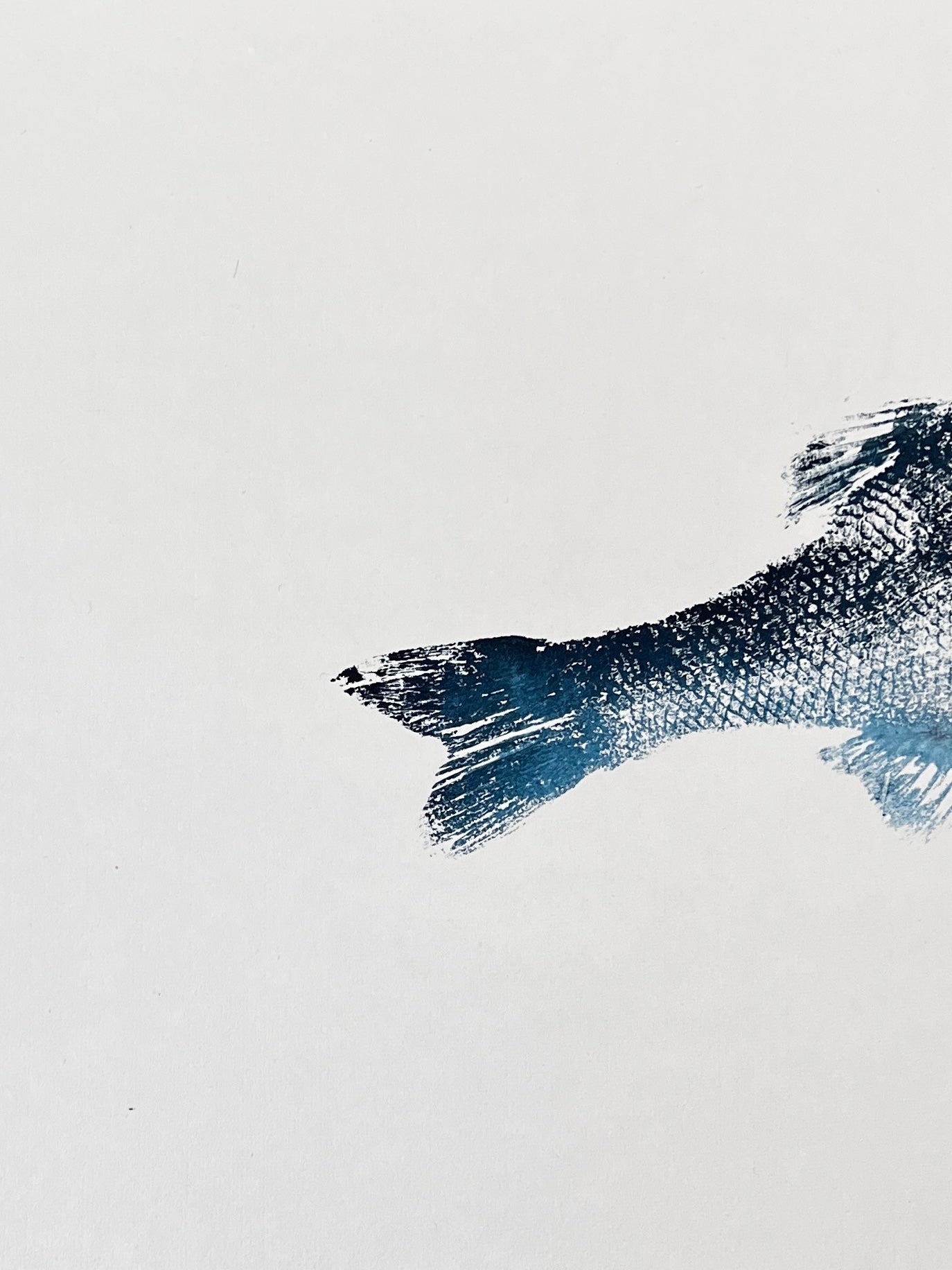 Anglesey Sea Bass Gyotaku