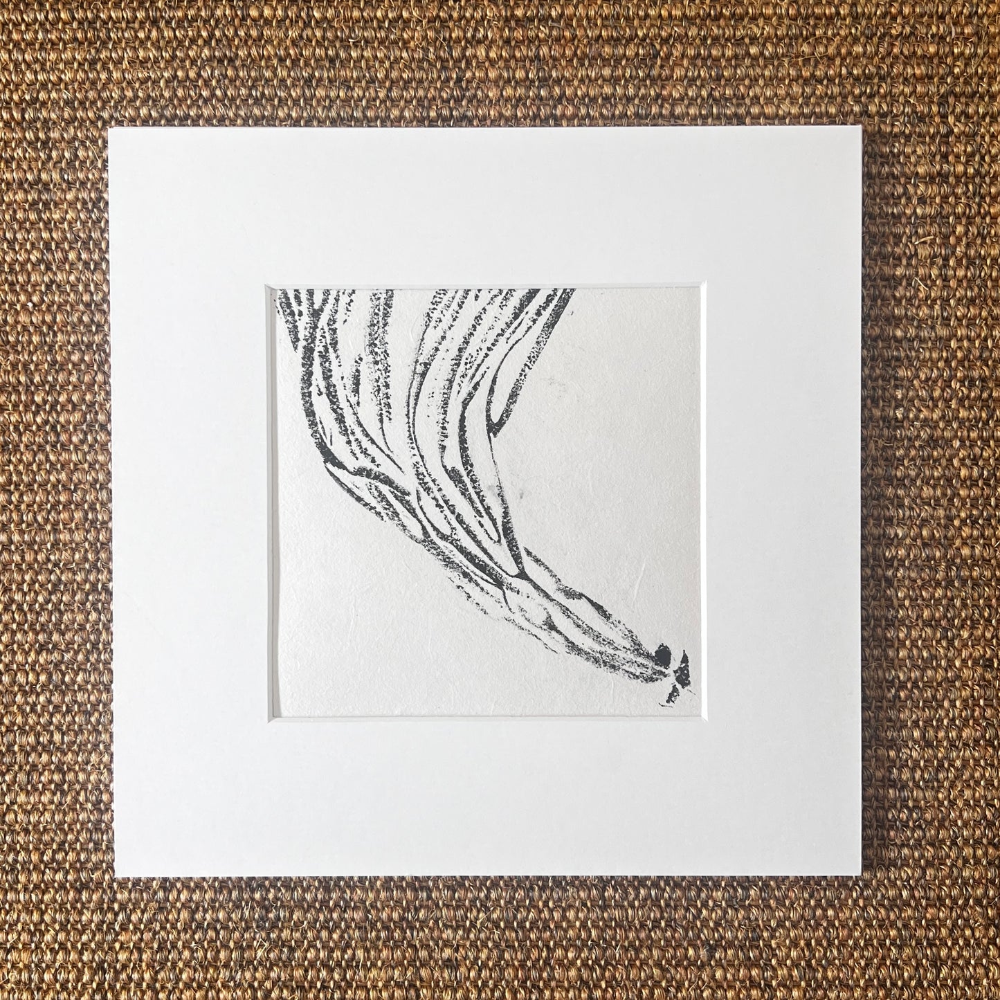 Sea Spaghetti