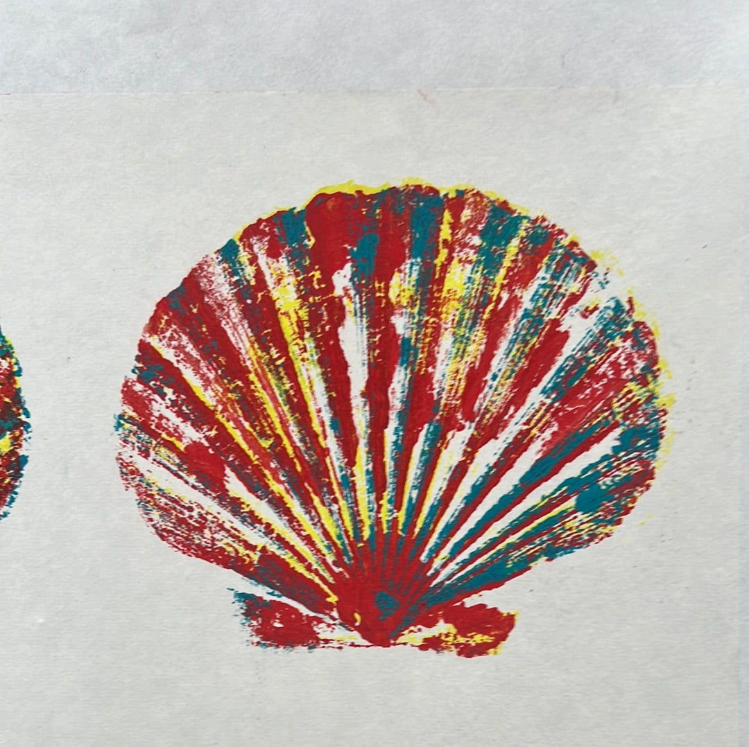 Large Scallop Shell Gyotaku with Multicoloured Layers