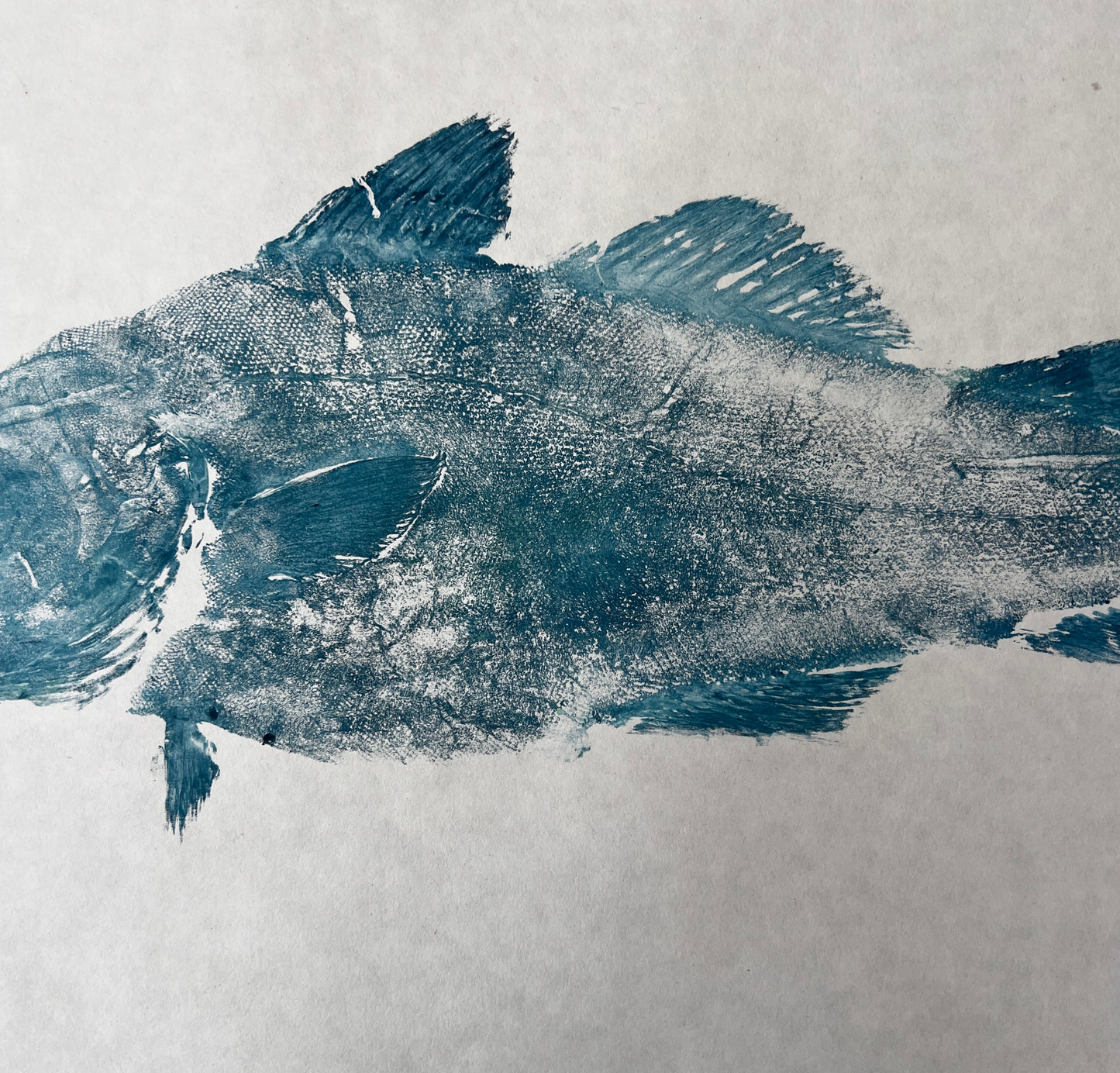 Menai Strait Codling