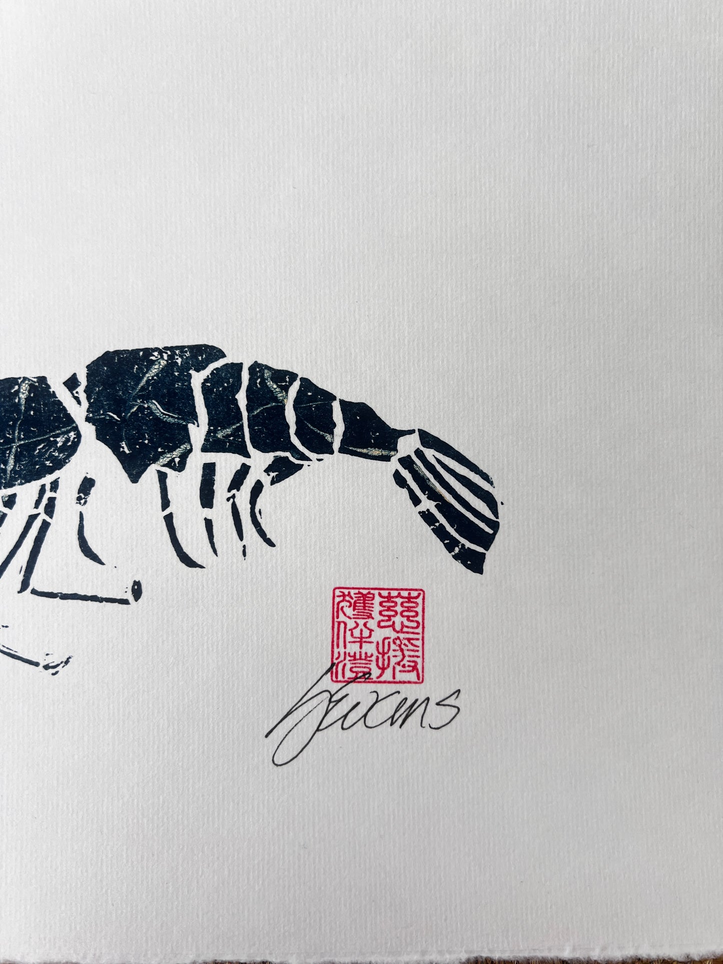 Linotaku Prawn Print by Jane Evans