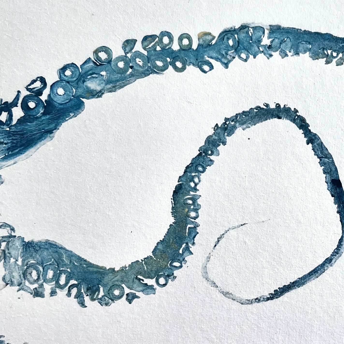 Gyotaku Impression taken from Octopus Vulgaris Tentacles