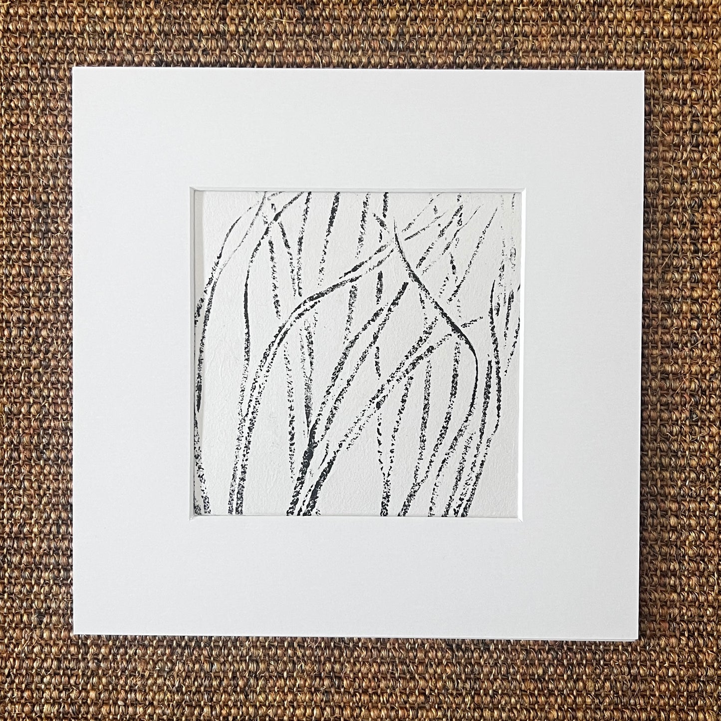 Sea Spaghetti