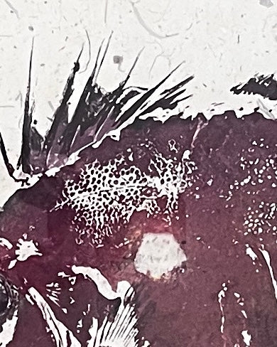 Gyotaku of John Dory on Hand made Thai Mulberry Paper