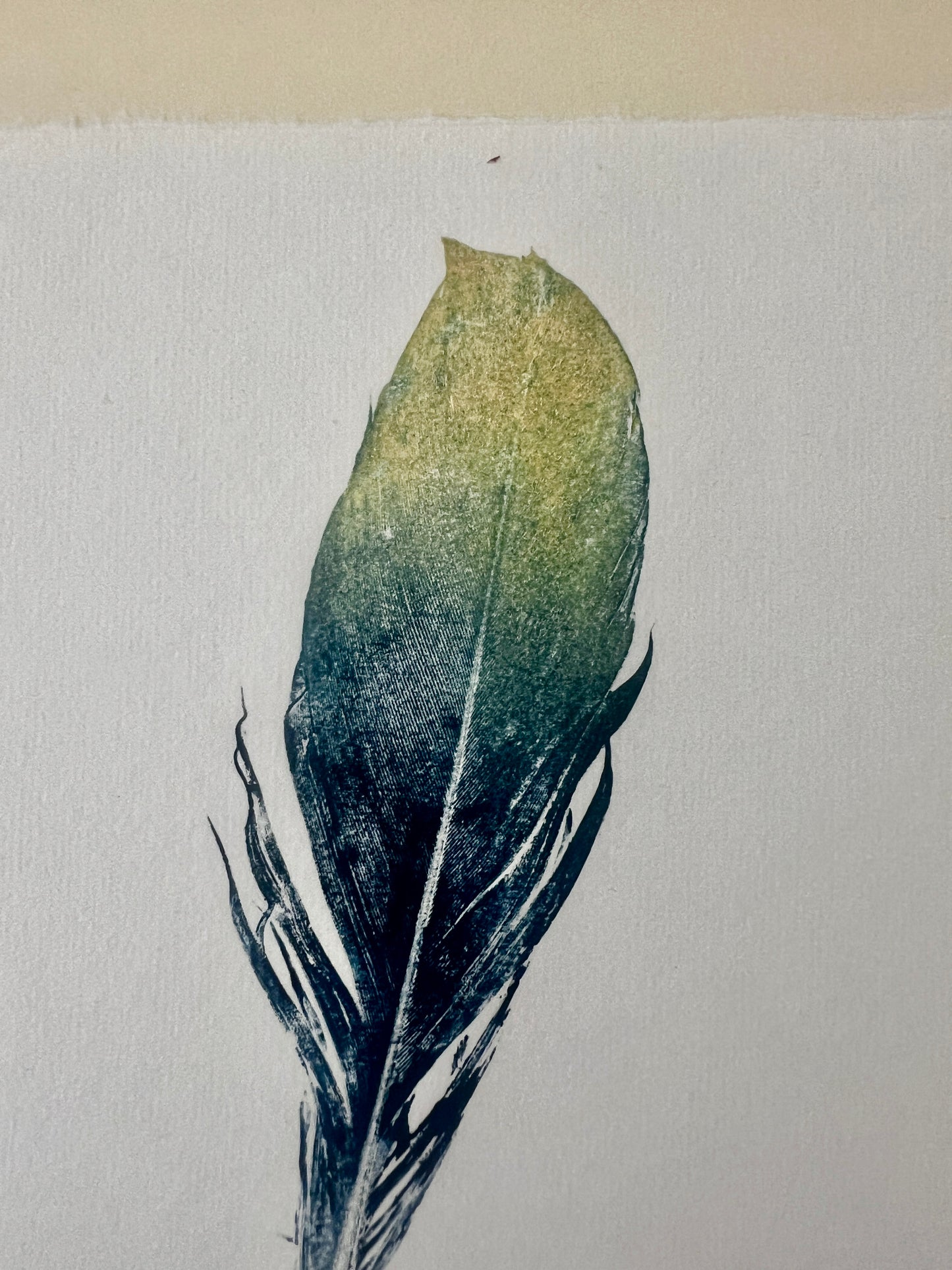A5 Feather Gyotaku Blue and Gold