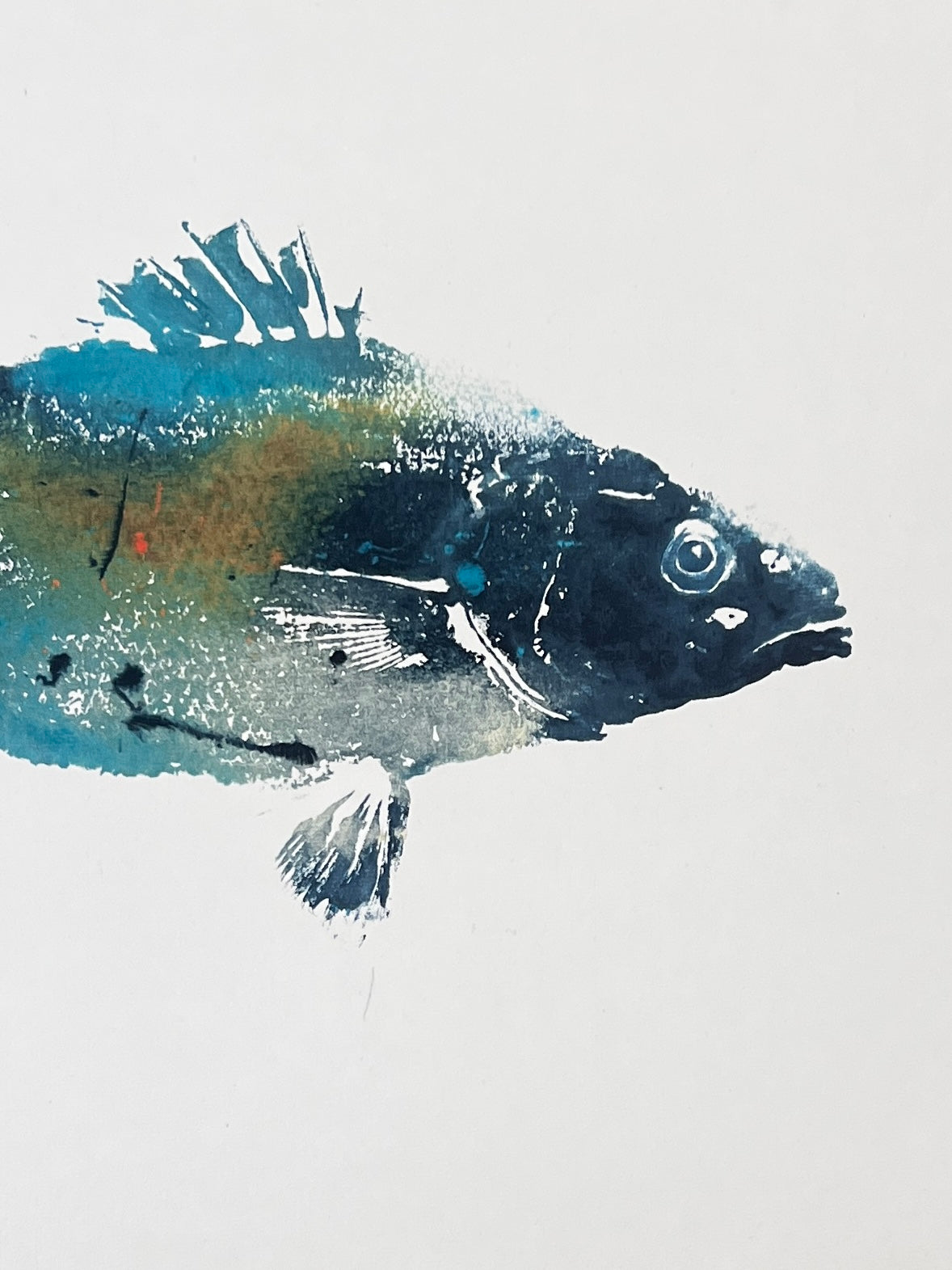 Anglesey Sea Bass Gyotaku