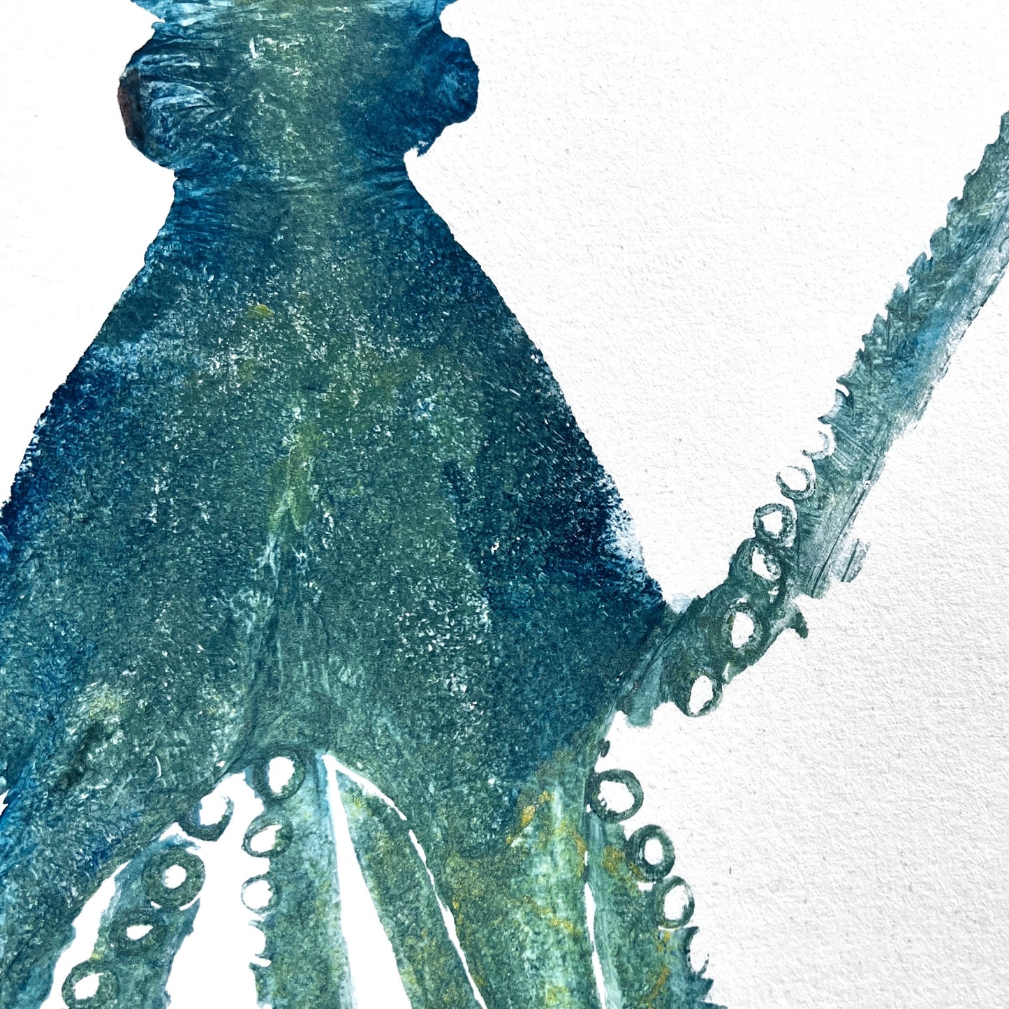 Gyotaku impression taken from the surface of Octopus