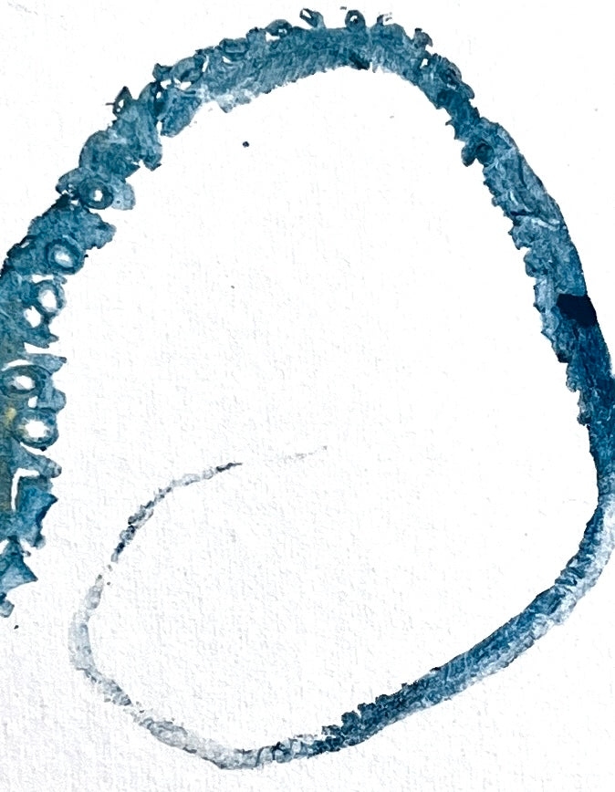 Gyotaku Impression taken from Octopus Vulgaris Tentacles