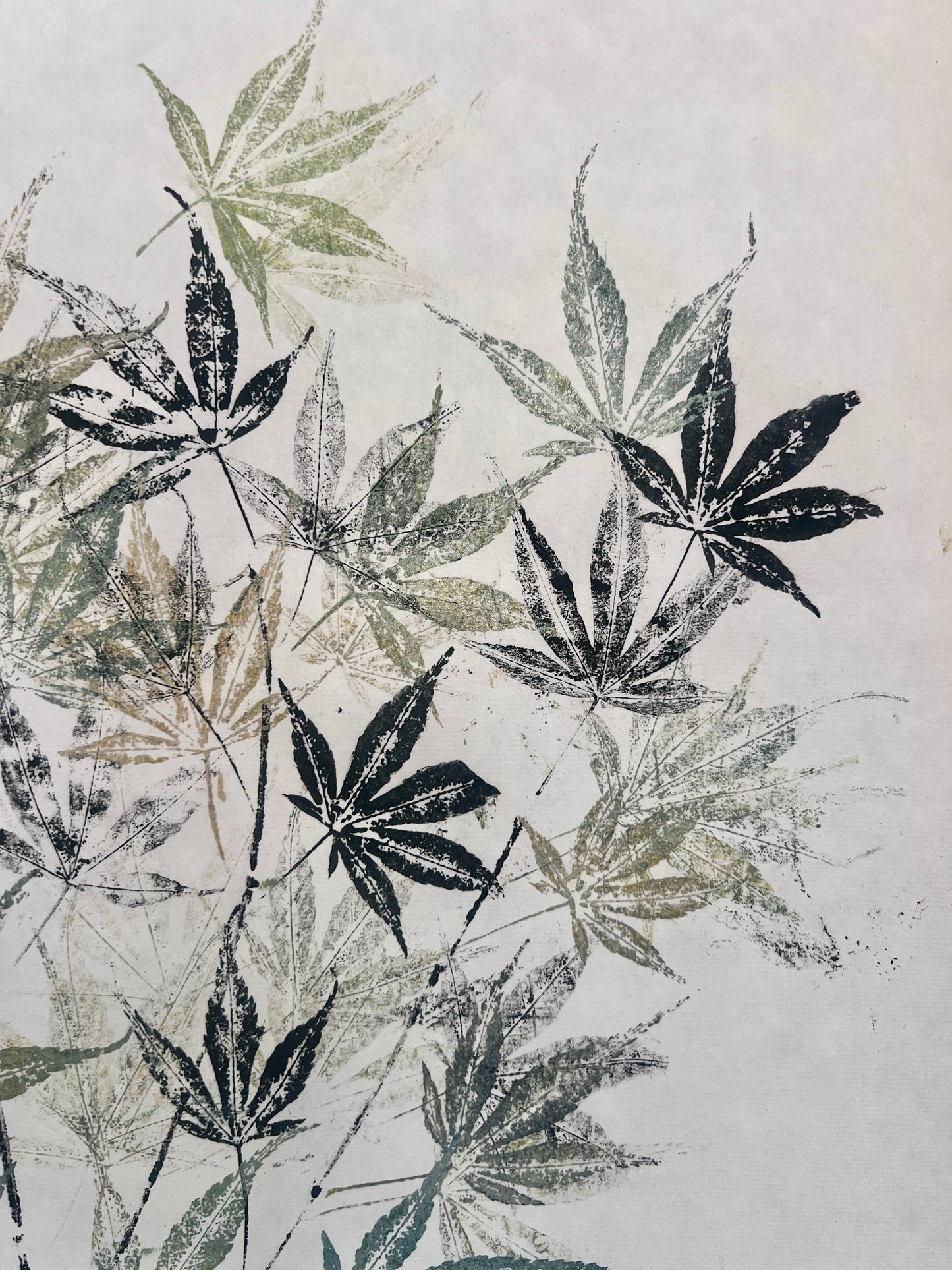 Gyotaku of Acer Leaves in Black and Green/Gold