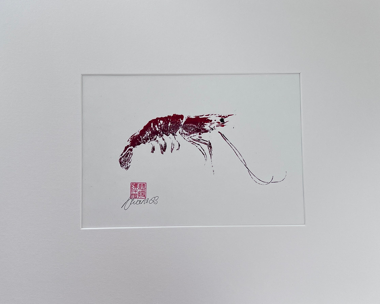 Gyotaku Impression taken from the surface of a Large Prawn