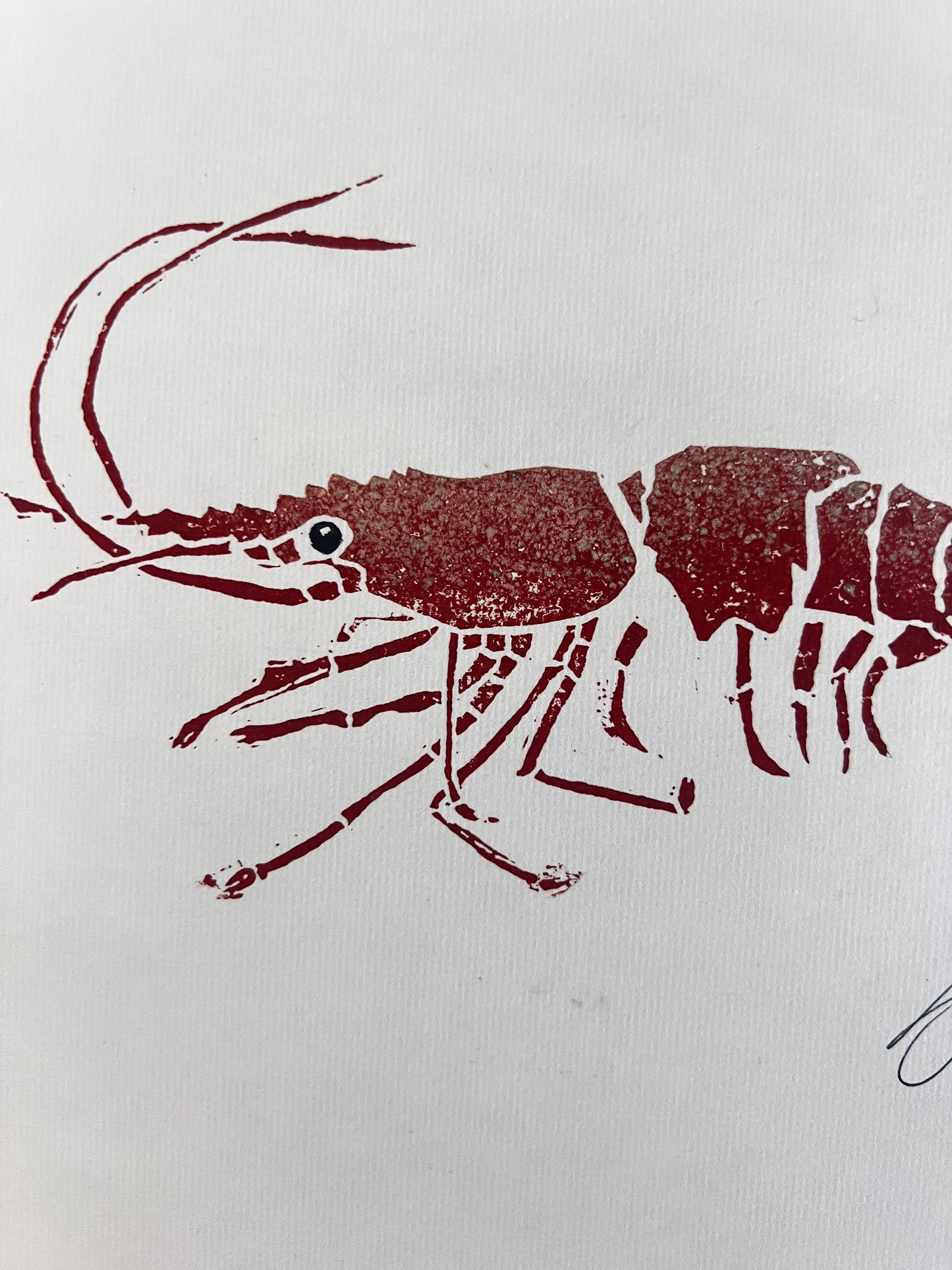 "Linotaku Prawn" – Lino Cut Print by Jane Evans, Anglesey Artist