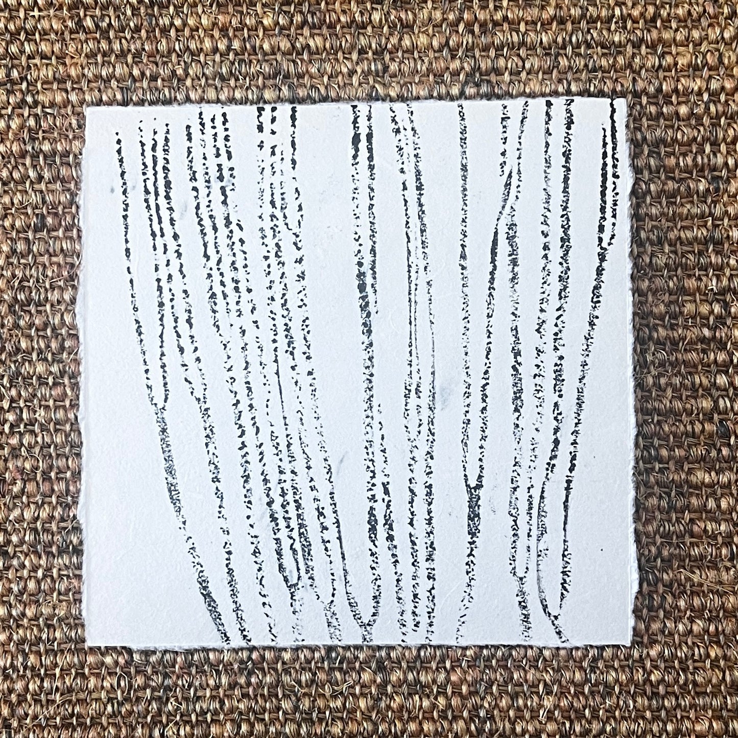 Sea Spaghetti