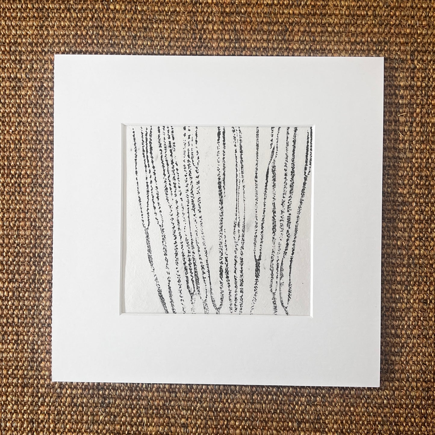 Sea Spaghetti