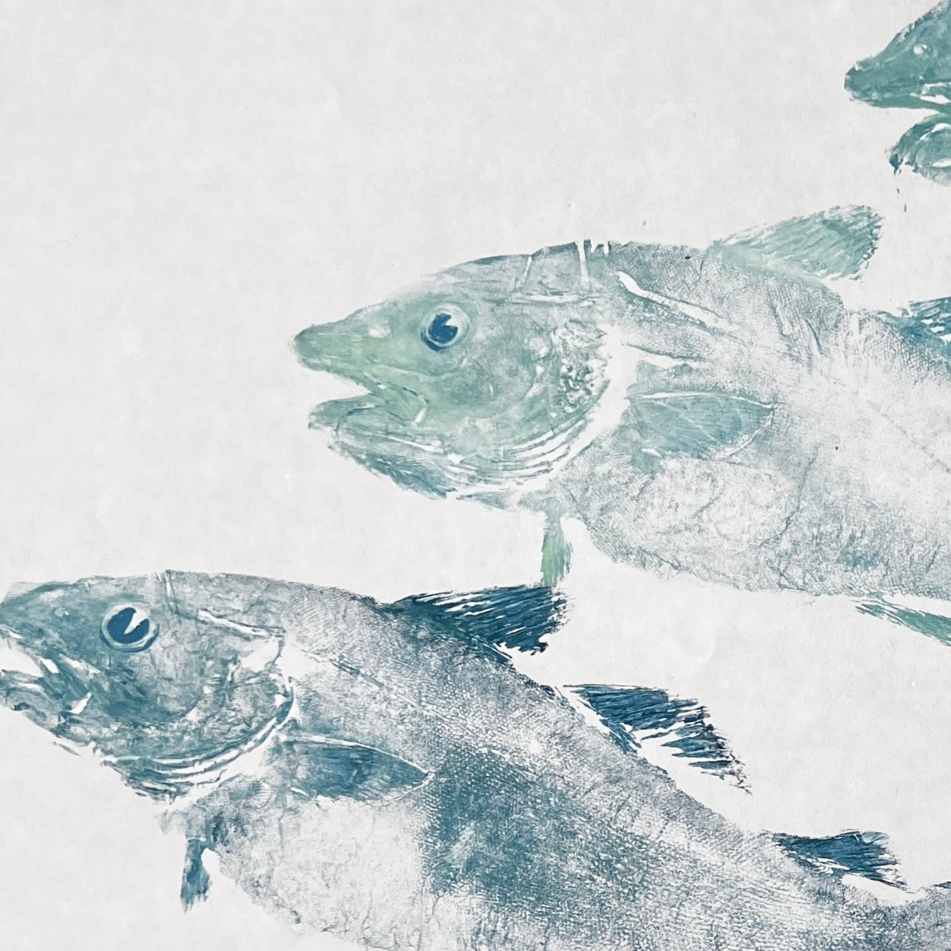 Menai Strait Codling
