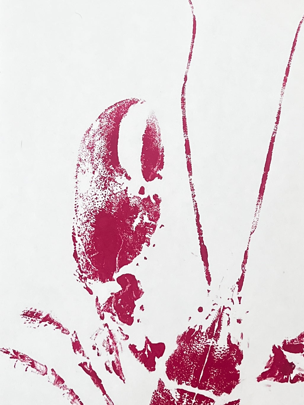 Lobster Love, Gyotaku Impression of an Anglesey Lobster