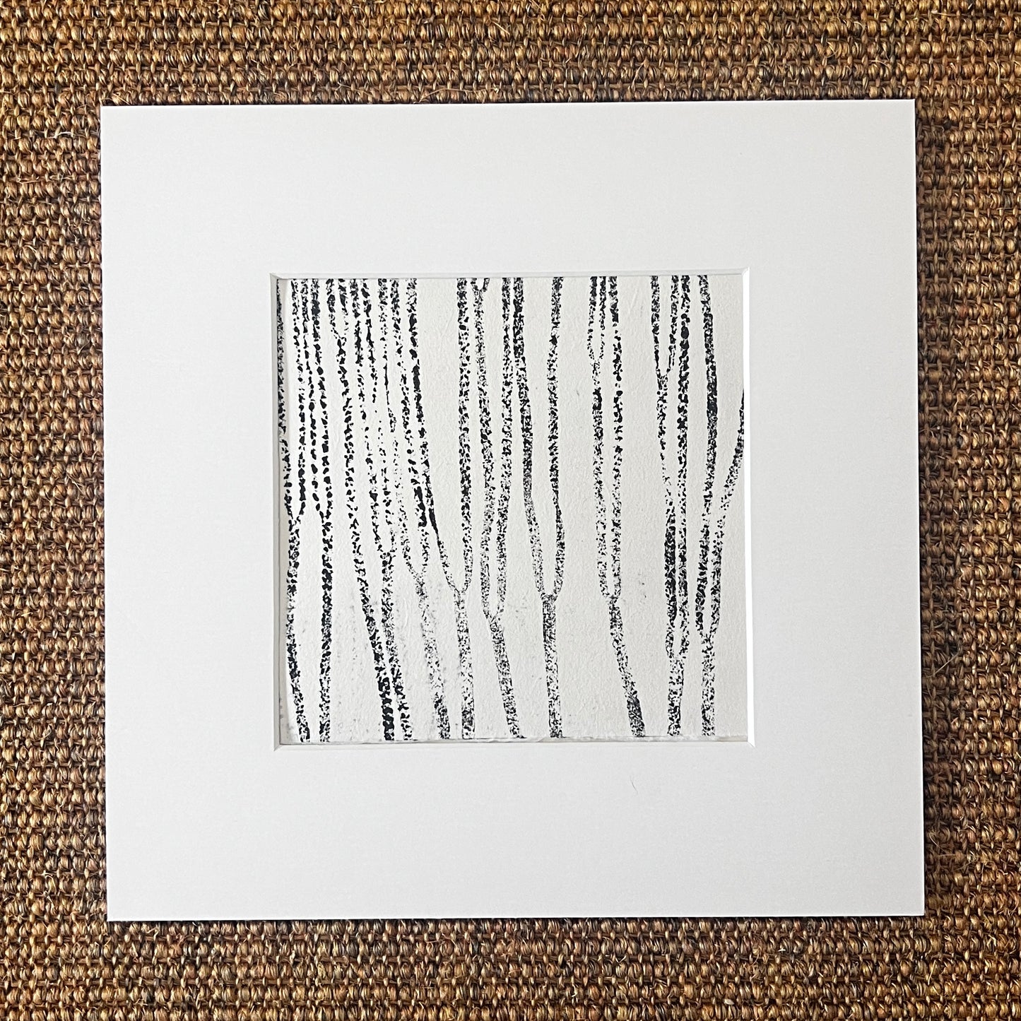 Sea Spaghetti