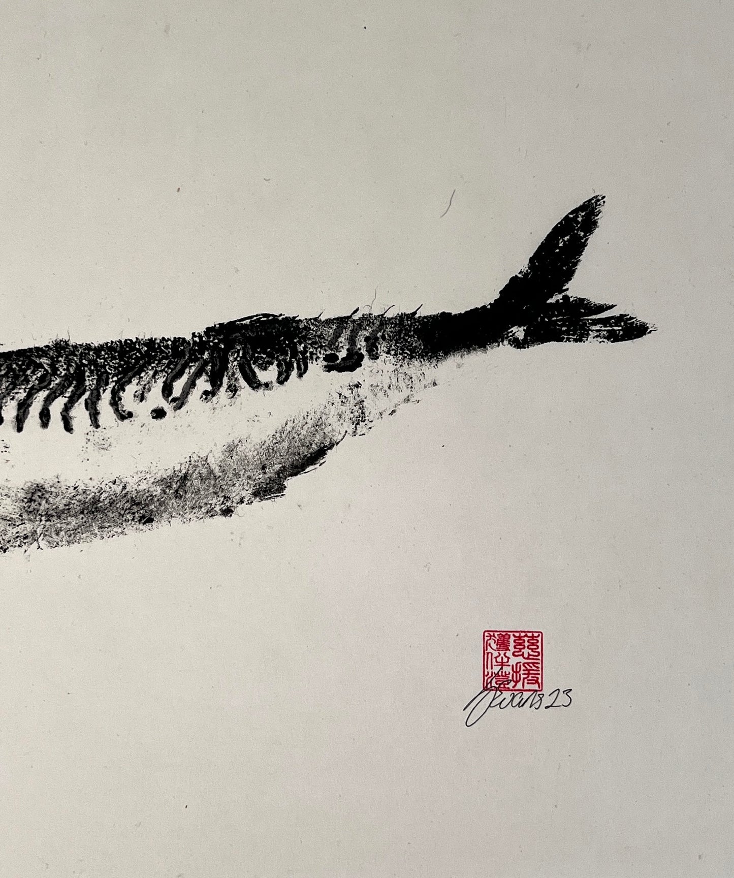 IMPRESSION TAKEN FROM A MACKEREL