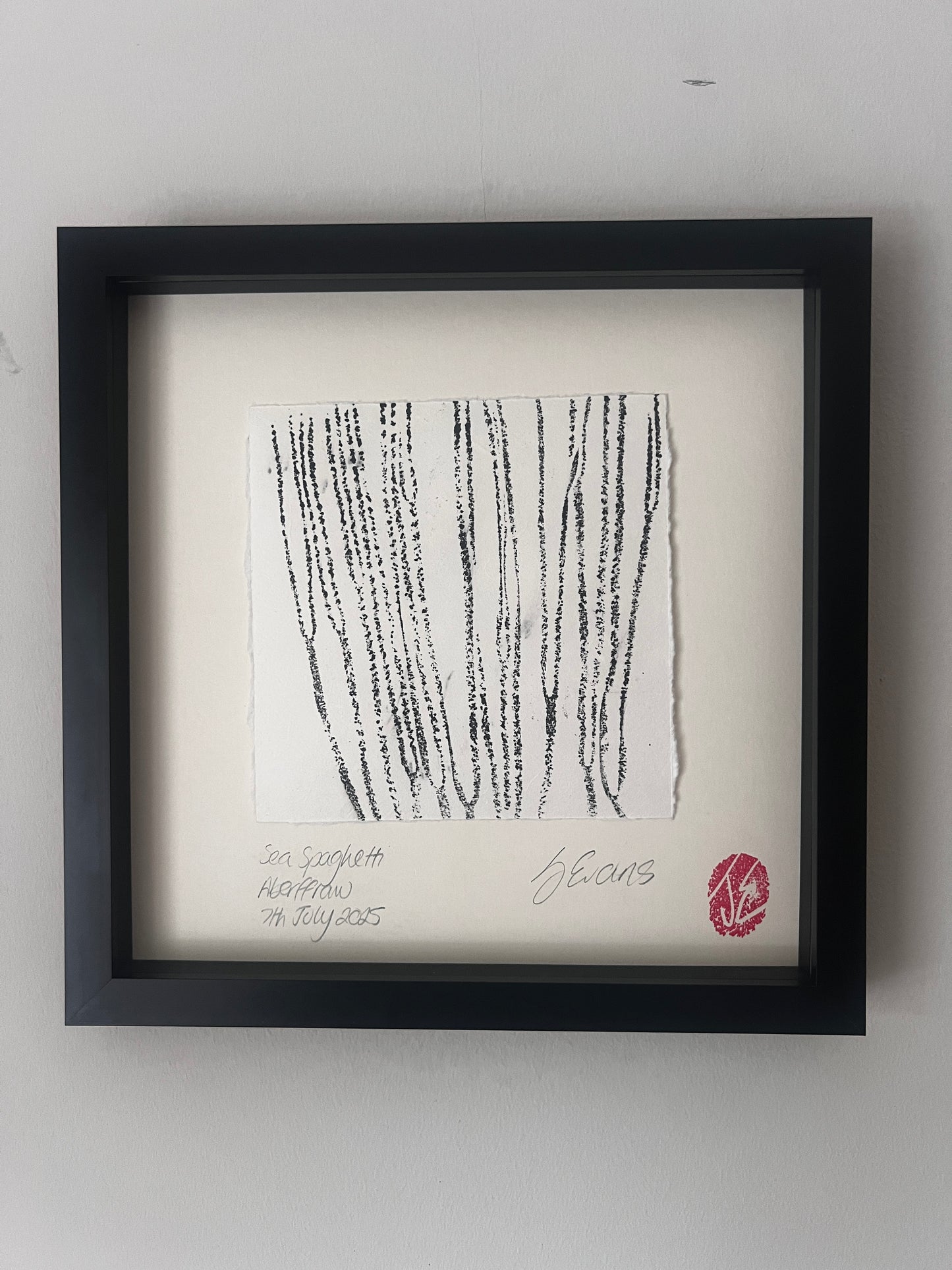 Sea Spaghetti