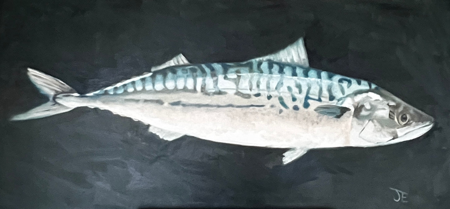 Mackerel Oil on Board
