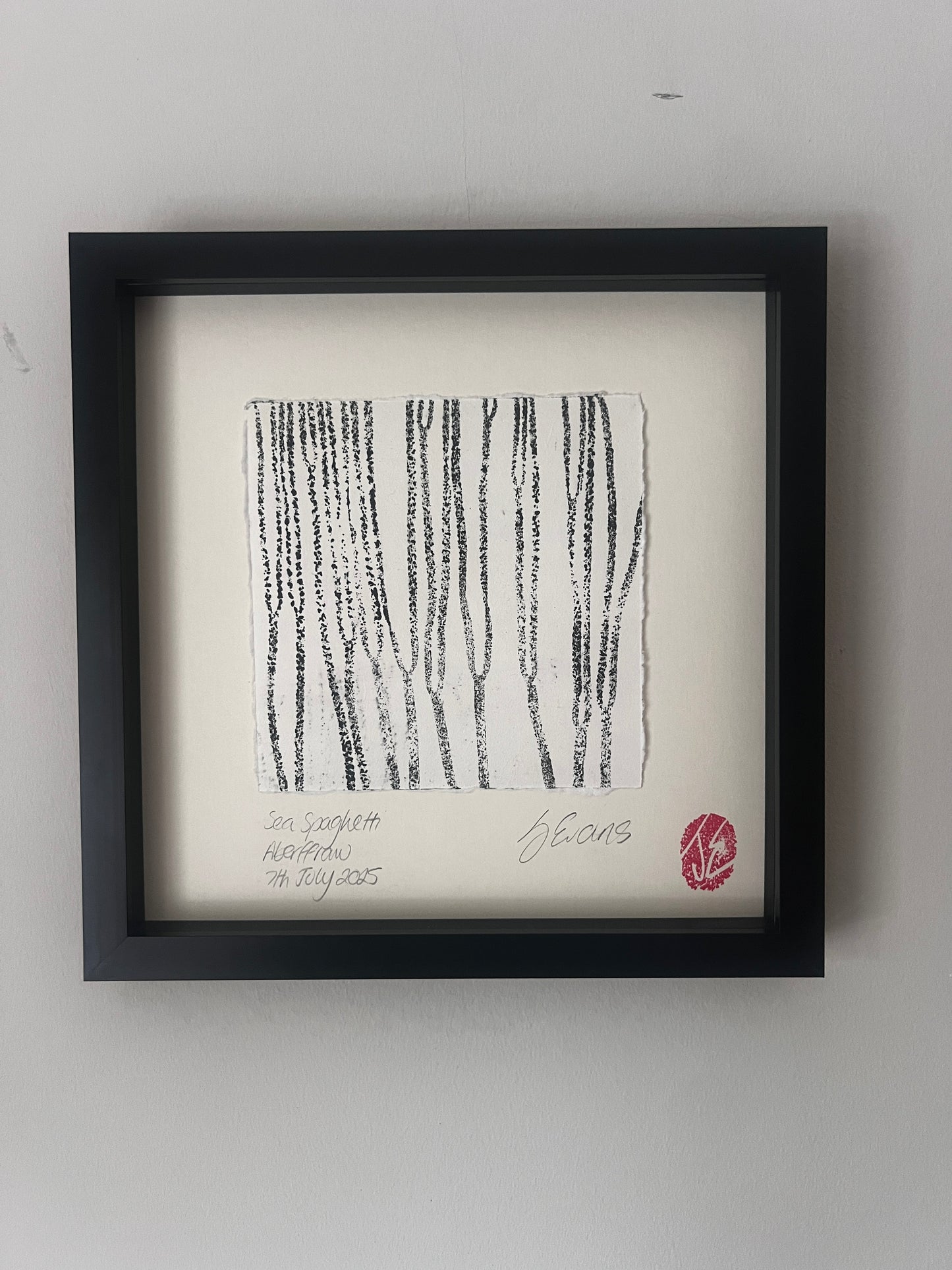 Sea Spaghetti