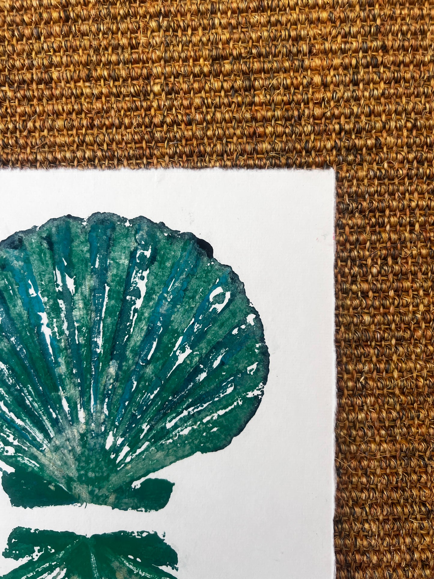 Scallop Shell Duo Gyotaku