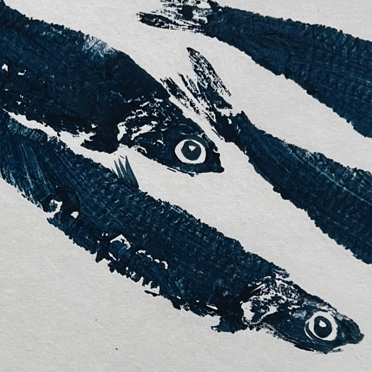 Anchovies Gyotaku