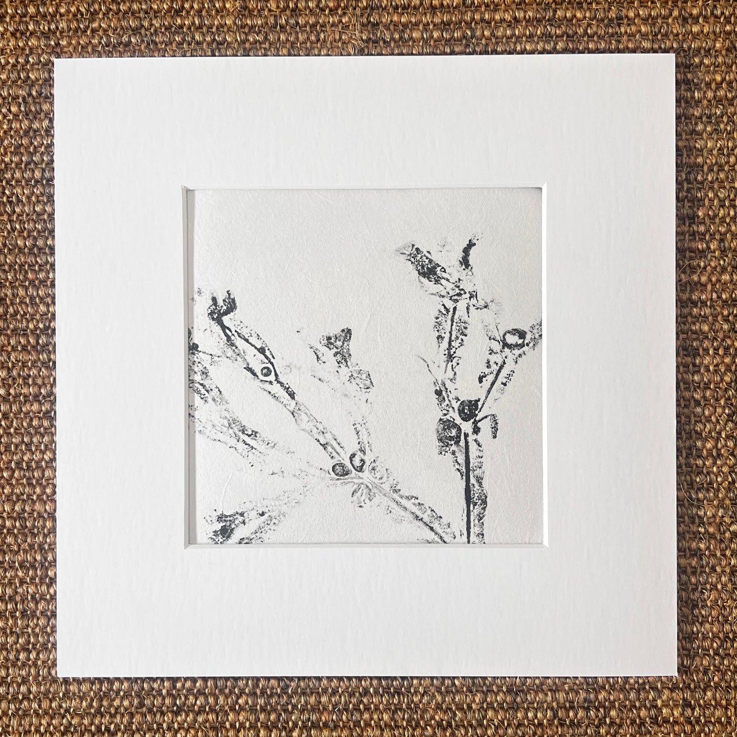 Bladder Wrack