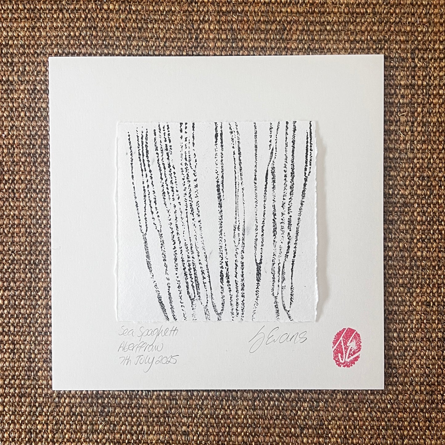 Sea Spaghetti