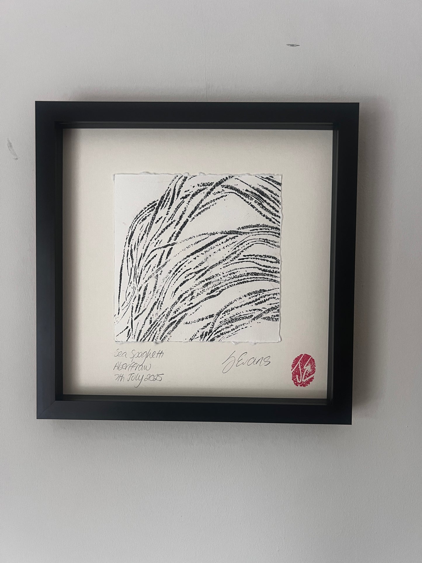 Sea Spaghetti