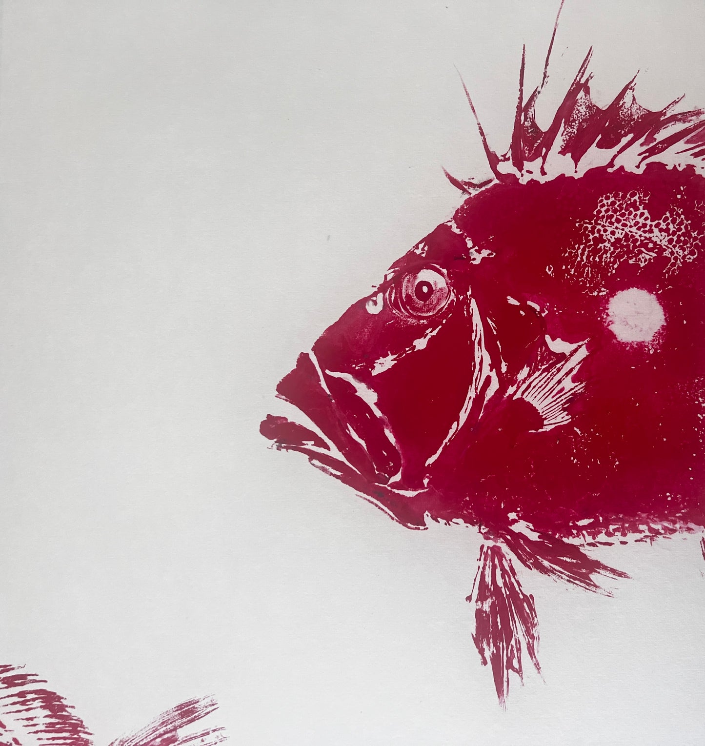 Gyotaku of John Dory in Red Ink