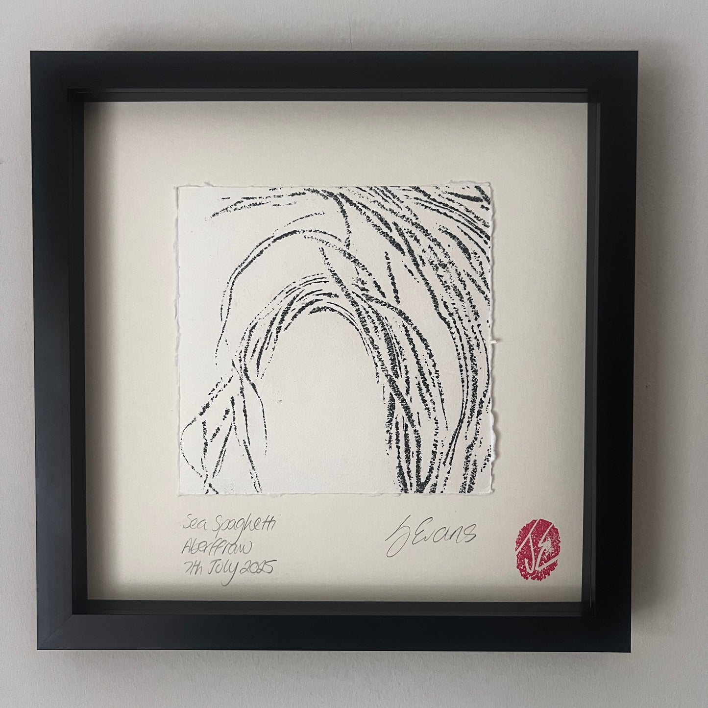 Sea Spaghetti
