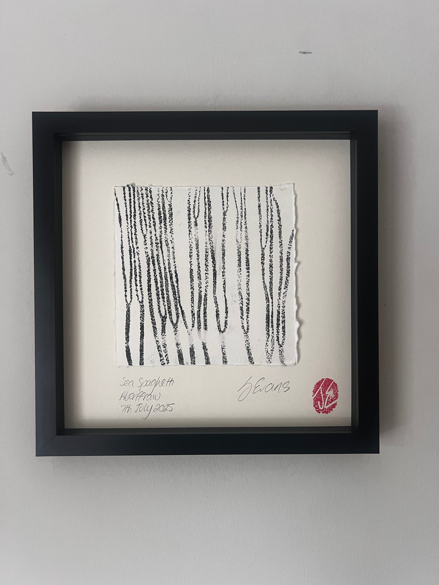 Sea Spaghetti