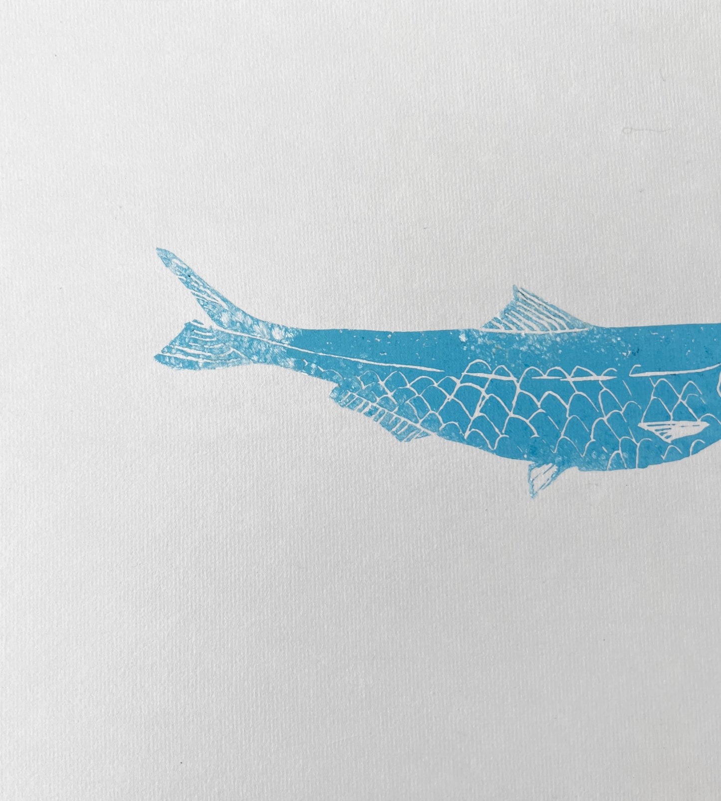 A4 Sardine Lino Print Gyotau