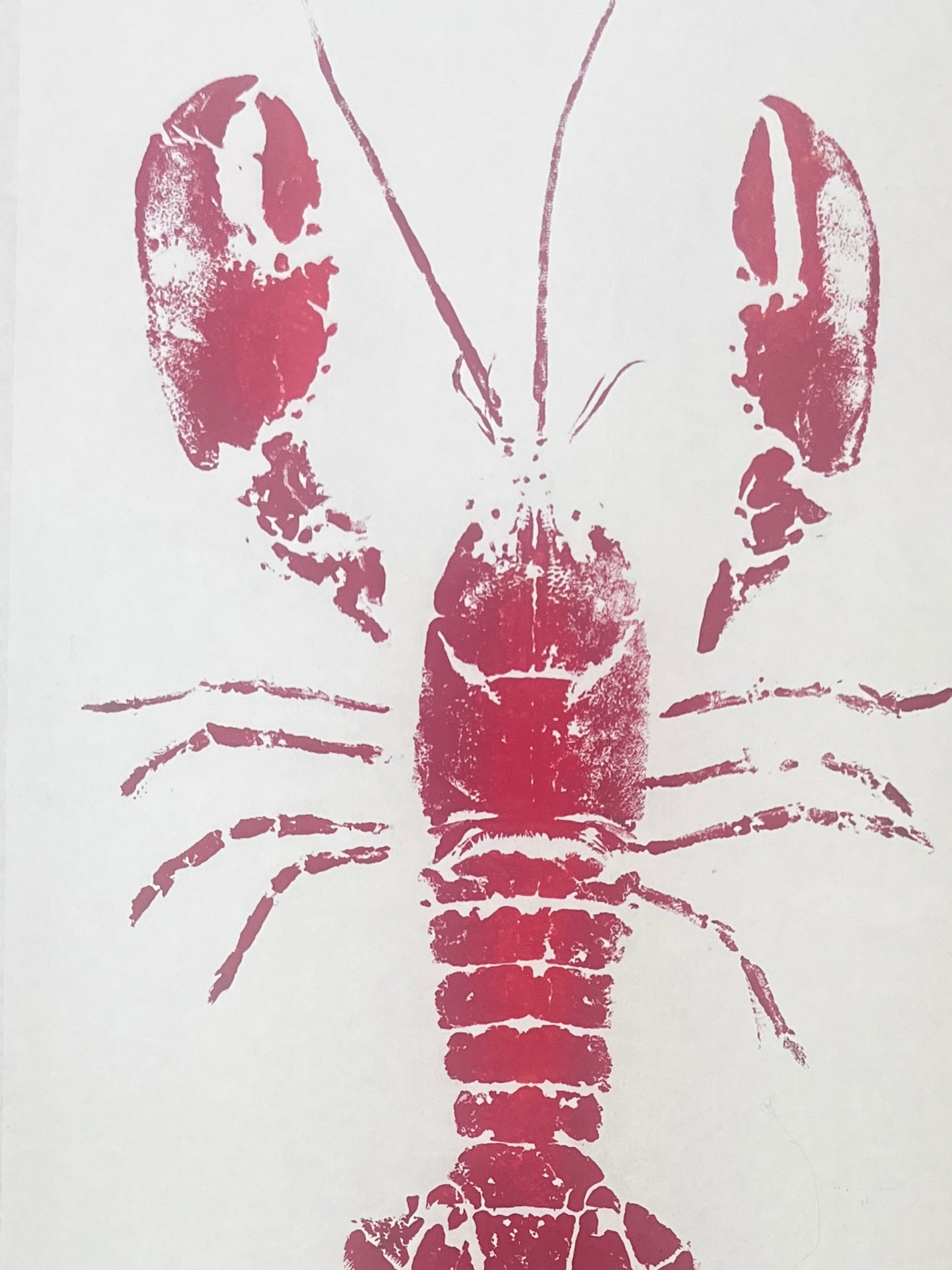 Menai Strait Lobster, Gyotaku Printed in Red ink.