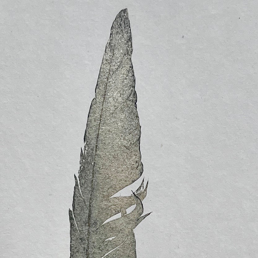 Feather Gyotaku