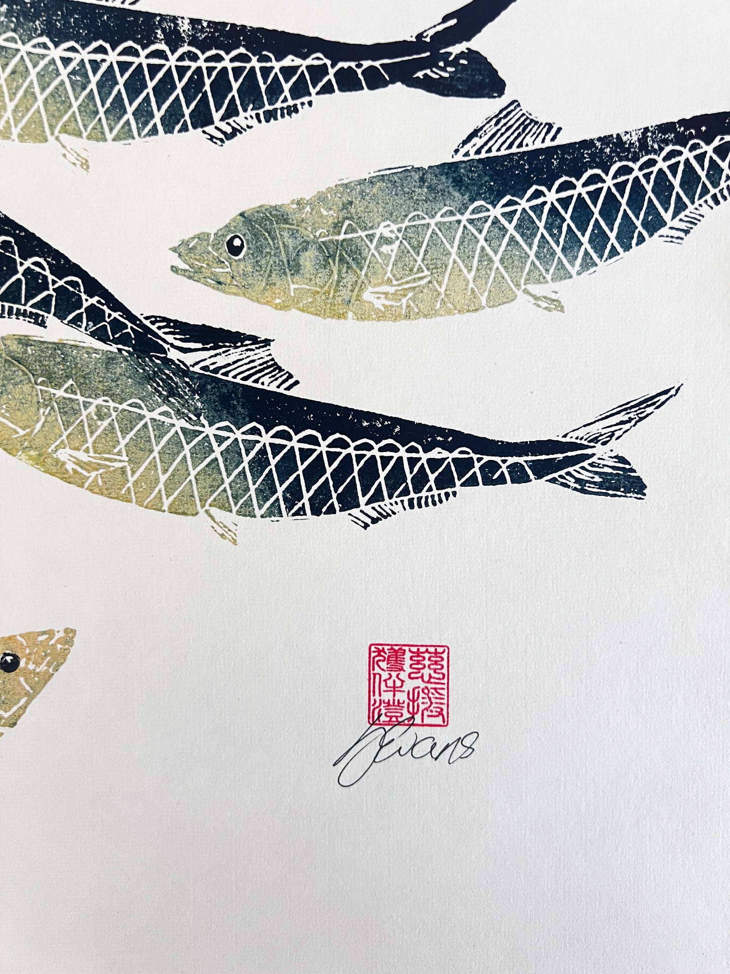 Sardine Lino Print Gyotau
