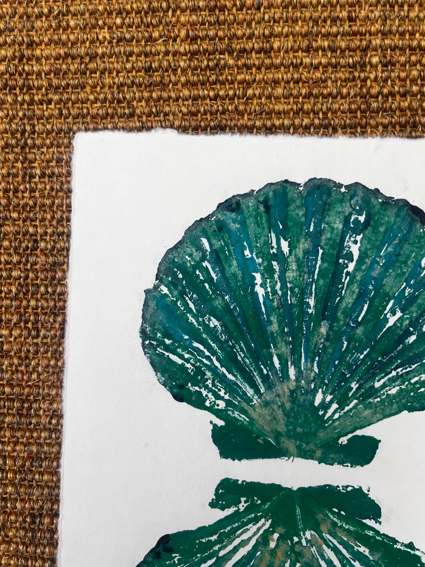 Scallop Shell Duo Gyotaku