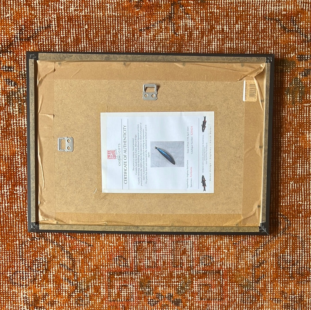 FRAMED A4 GYOTAKU OF ANCHOVIES