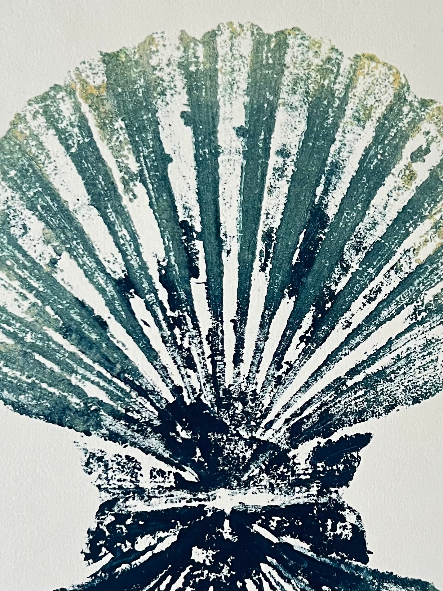 Scallop Shell Duo Gyotaku by Jane Evans