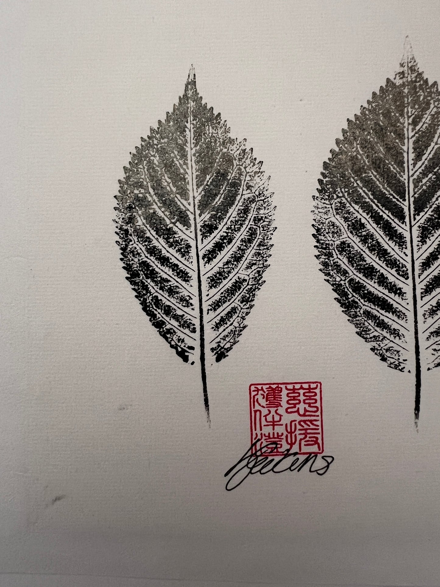 Gyotaku of Ash Leaves