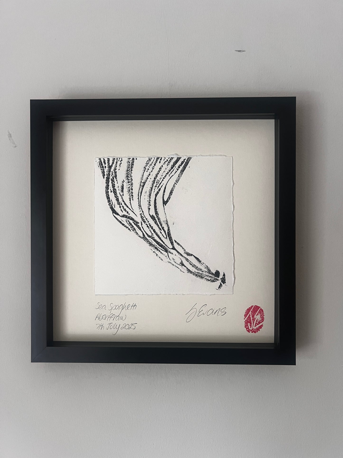 Sea Spaghetti