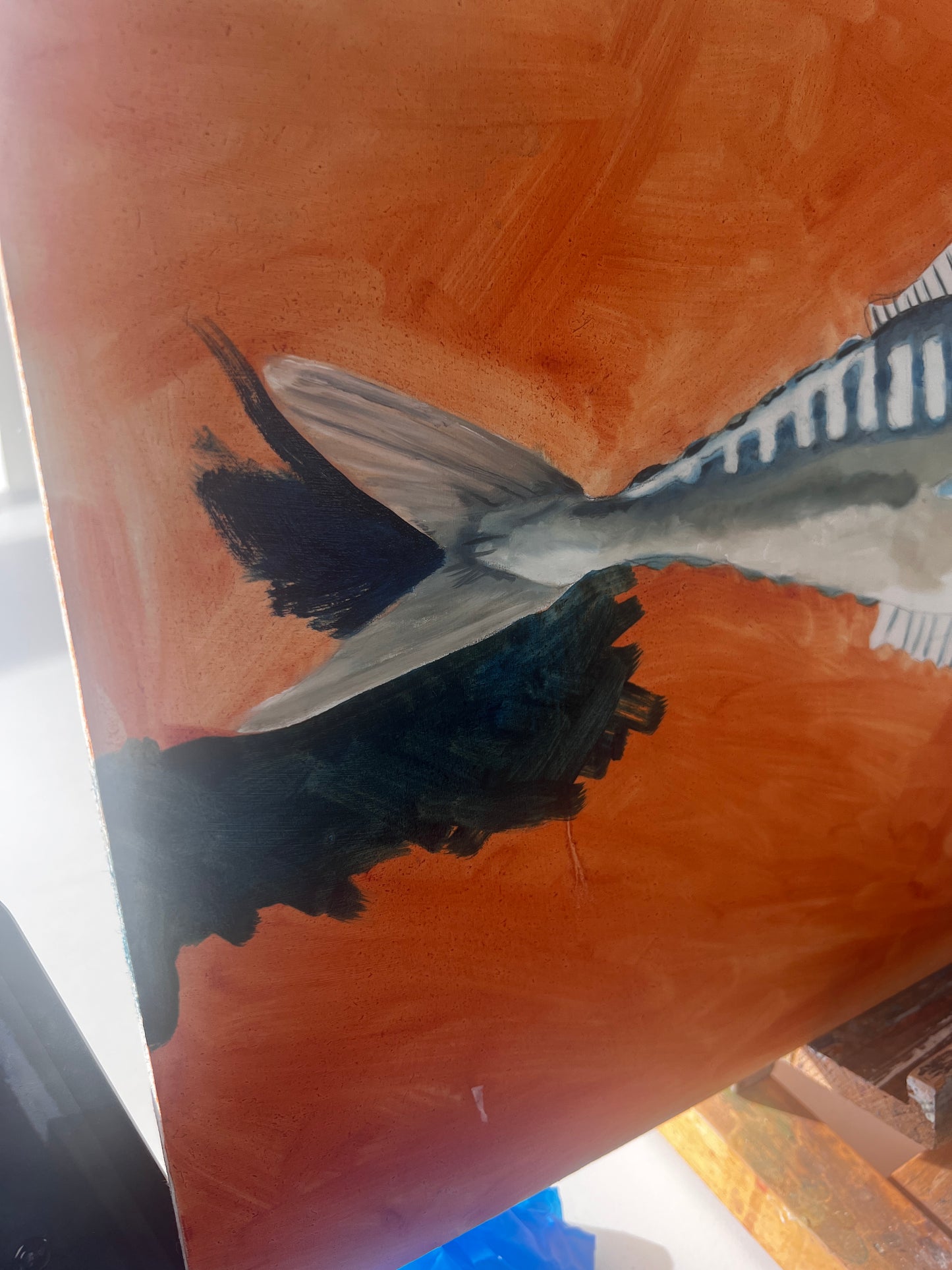 Mackerel Oil on Board