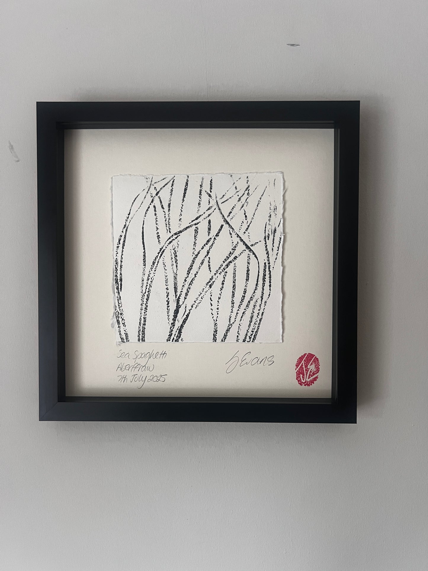 Sea Spaghetti