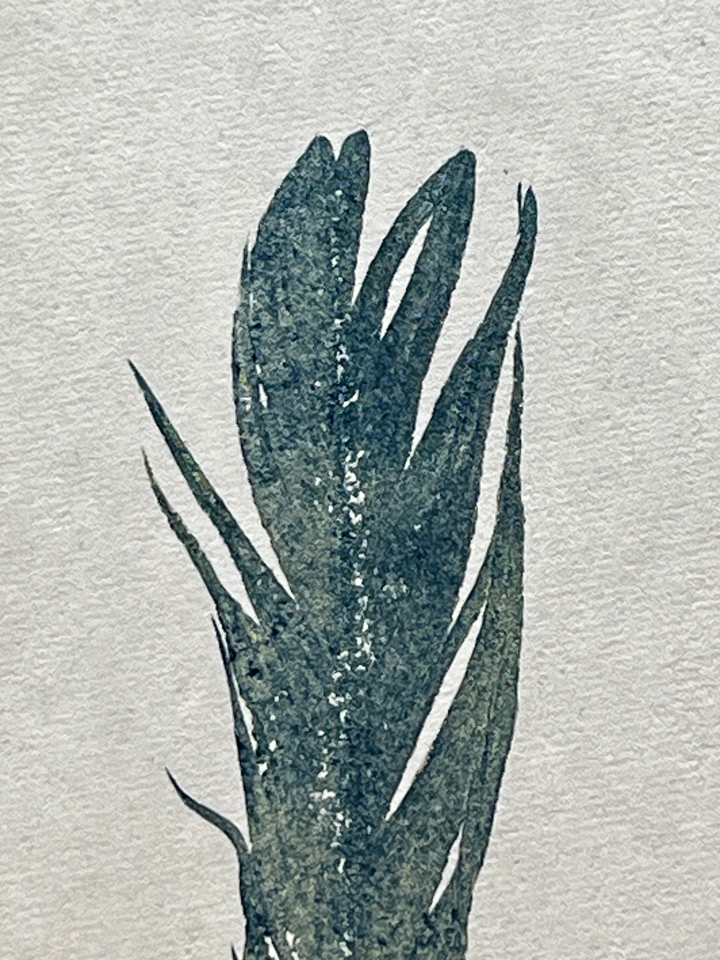 Small Bird Feather – Gyotaku Print