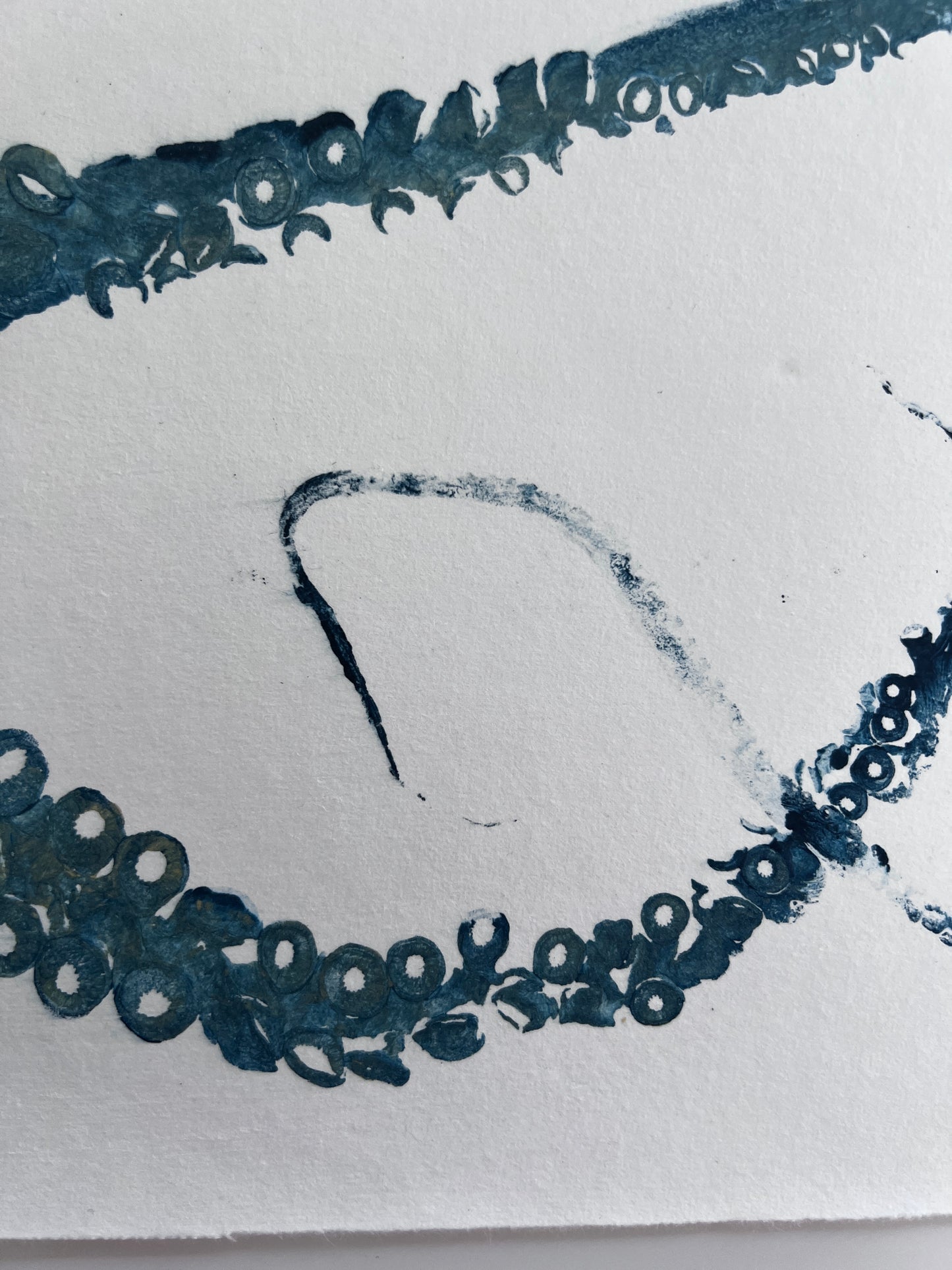 Gyotaku Impression taken from Octopus Vulgaris Tentacles