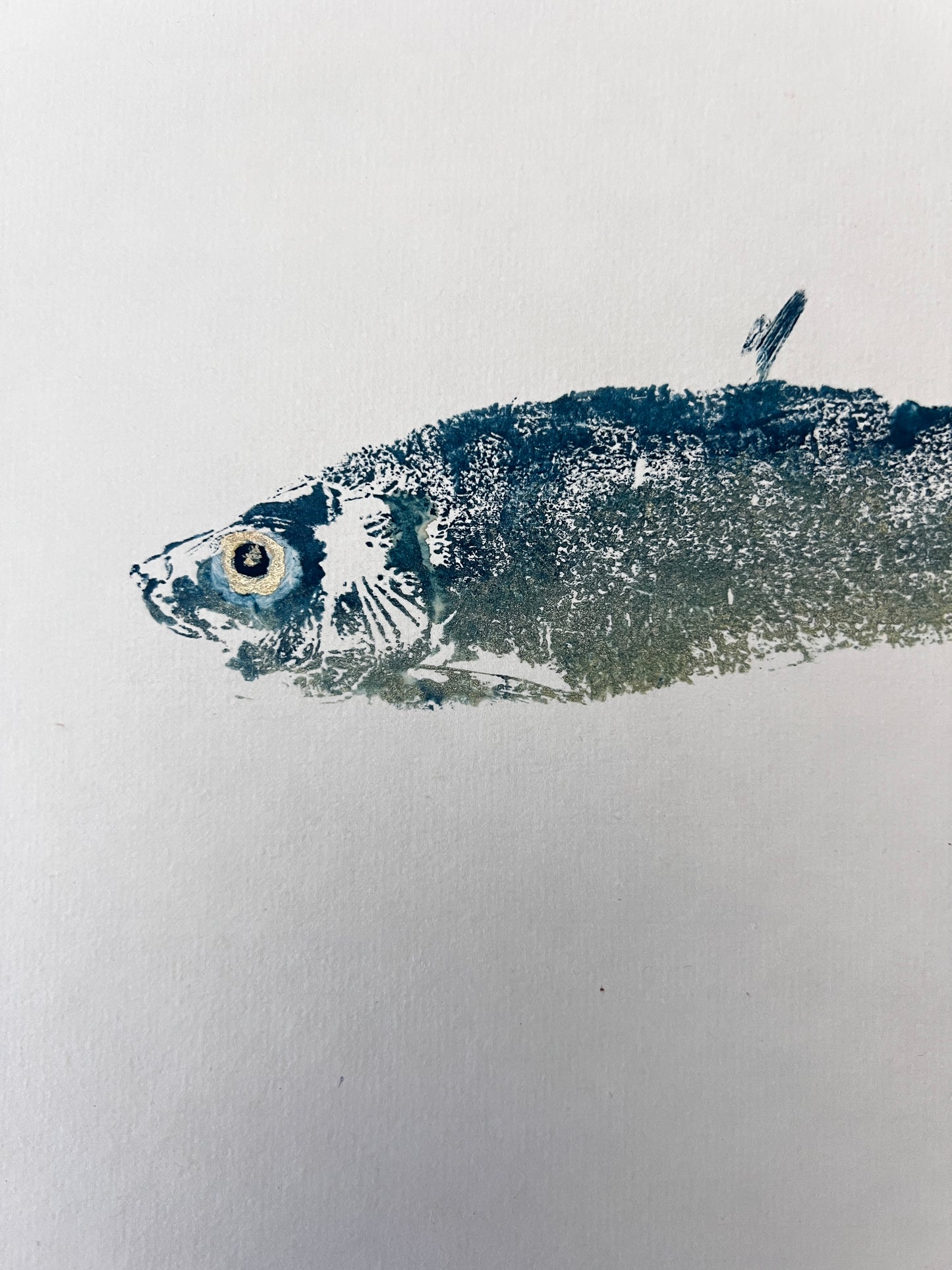 Sardine Gyotaku Print Blue and Gold
