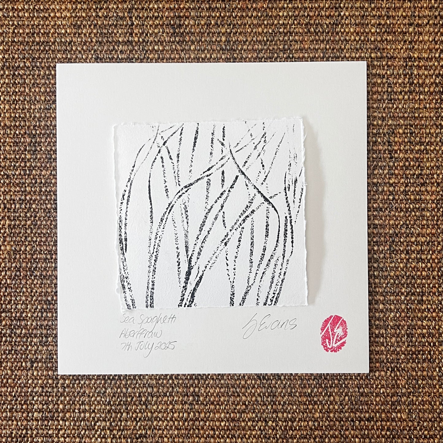 Sea Spaghetti