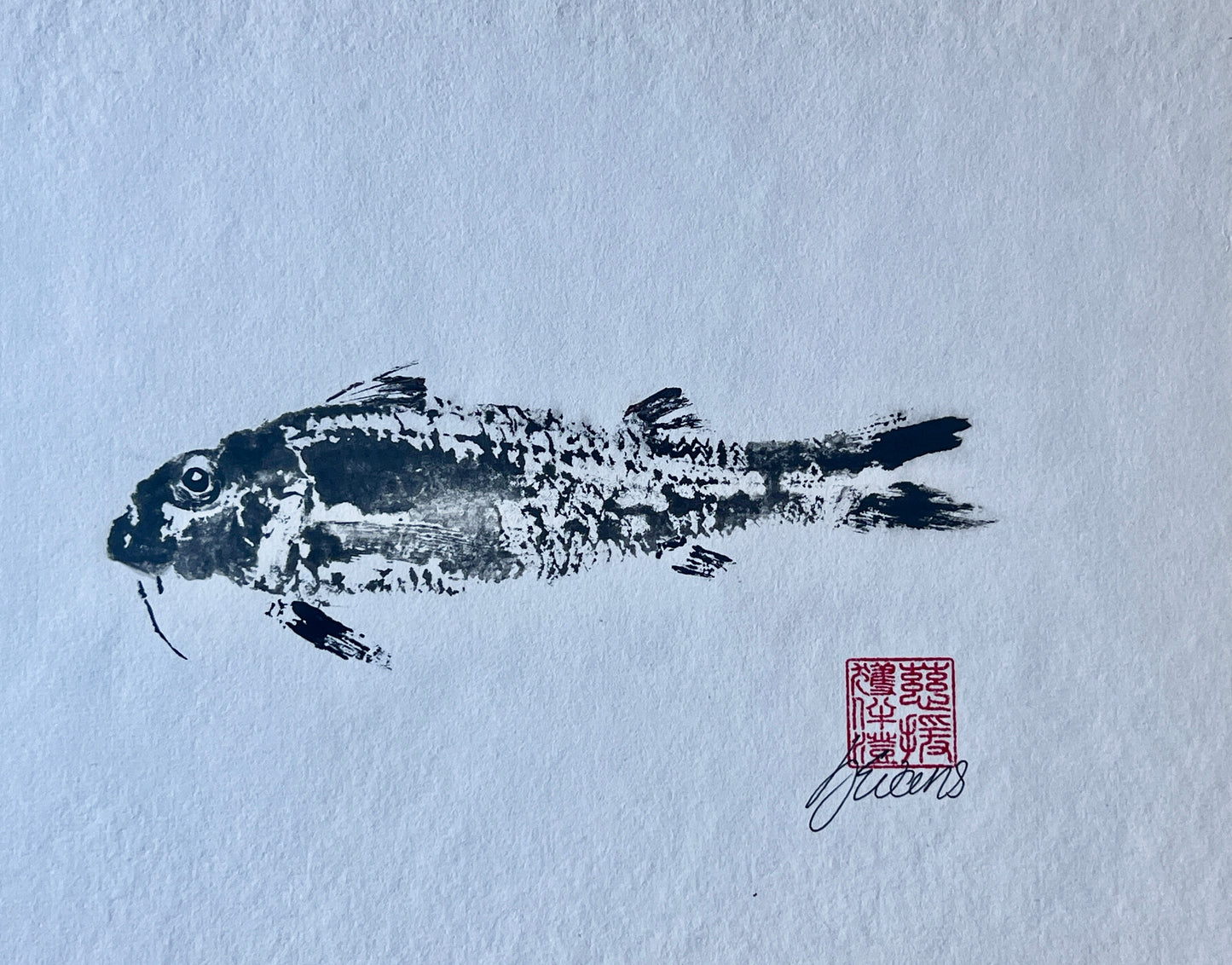 Gyotaku of a small Red Mullet from the waters of North Wales in Sumi