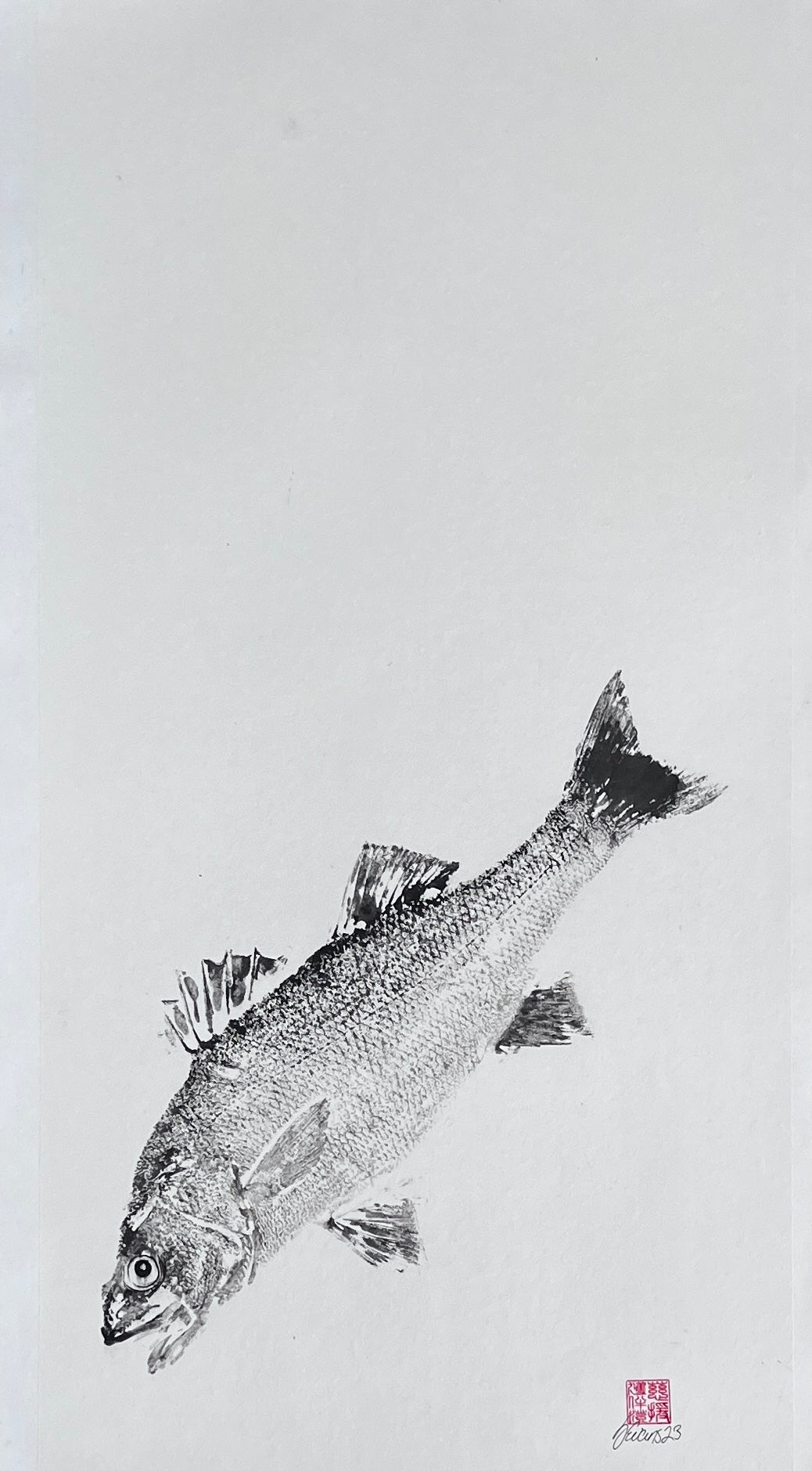 Anglesey Sea Bass Gyotaku Print using Sumi Ink