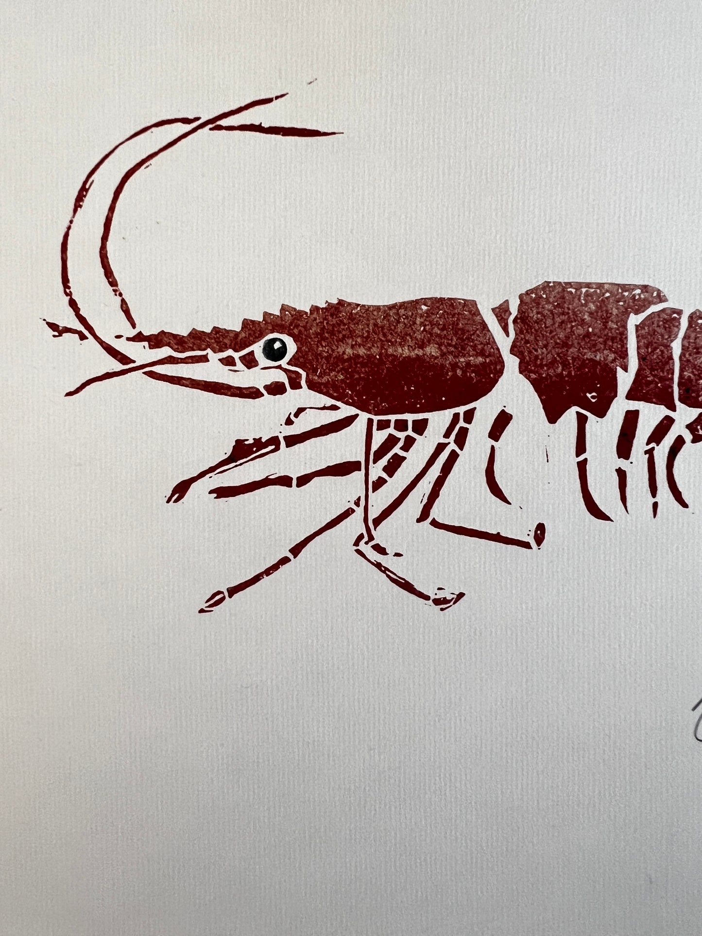Linotaku Prawn